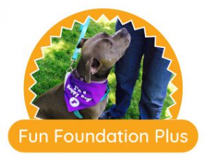 dog training olympia WA foundation