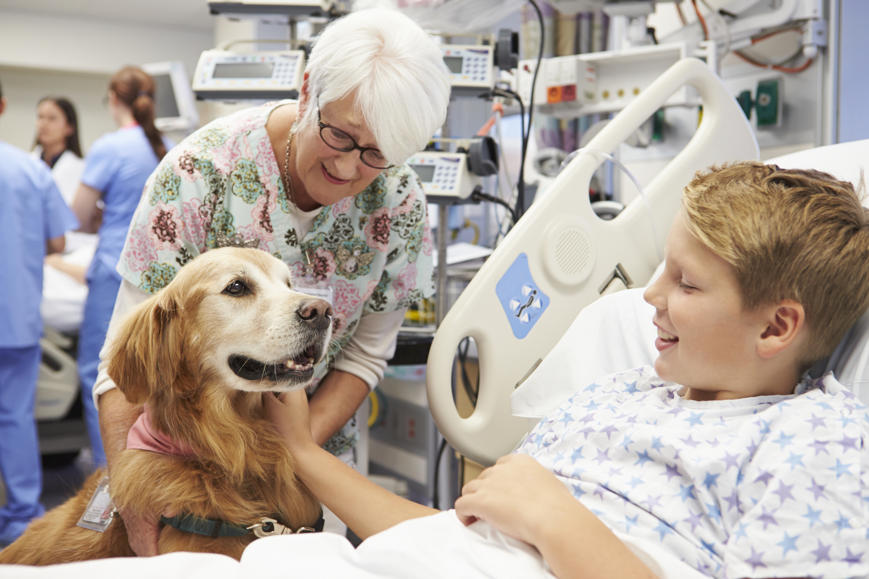 Animal Assisted Therapy - Happy Dog Institute - Washington Based Puppy and  Dog Training