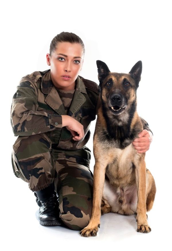 Military Dogs - Happy Dog Institute - Washington Based Puppy and Dog ...