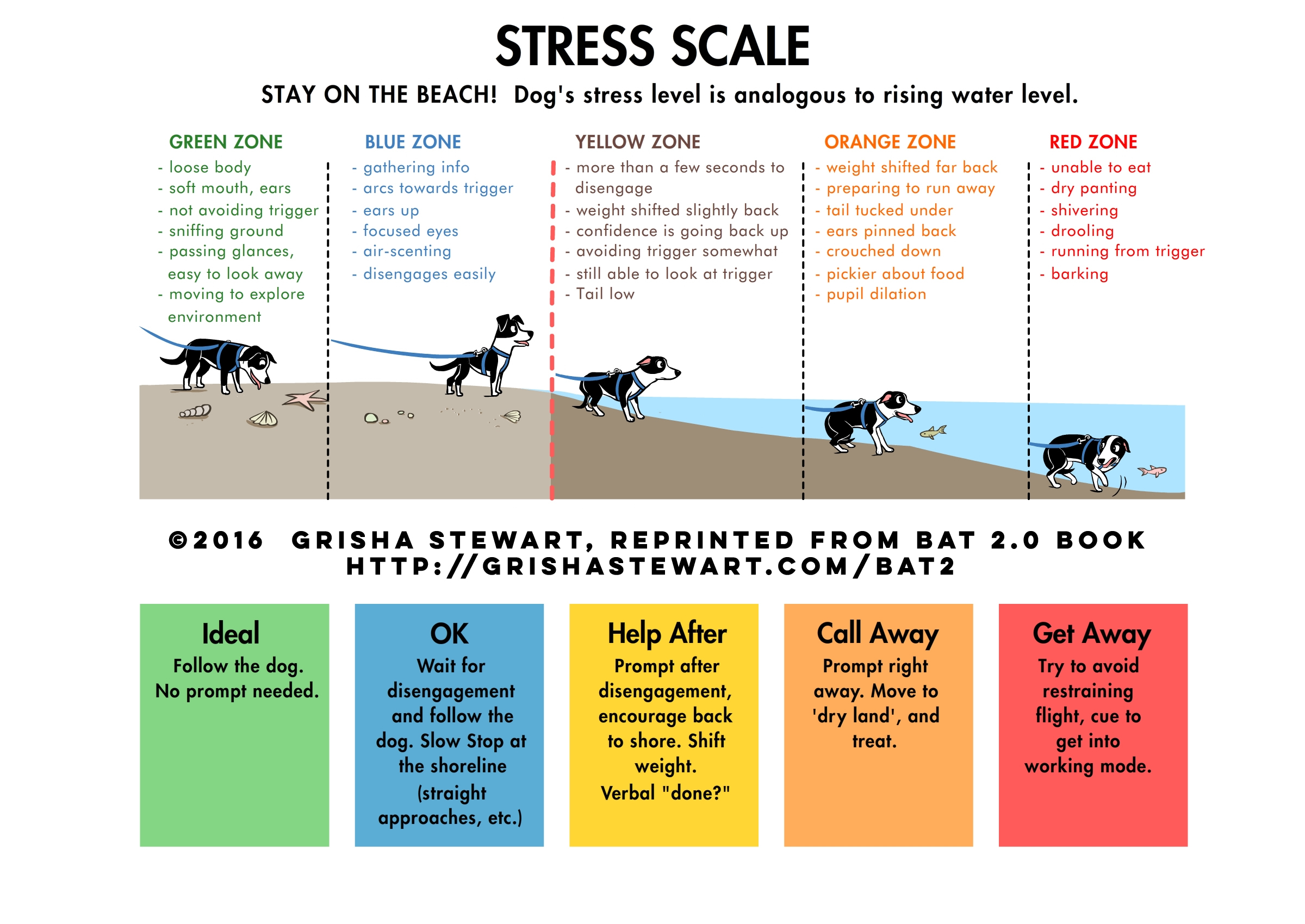 BAT Stress Scale Grisha Stewart - Happy Dog Institute - Washington